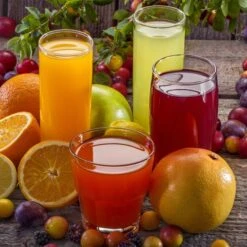 Elektrische Fruchtsaftpresse - 230 Watt -Küchenbedarf Discounter 636846174454043353 74af