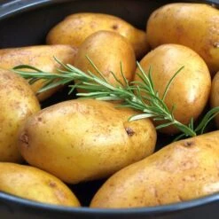 Schnellkochtopf - Ø 320 Mm - Höhe: 300 Mm - Inkl. Deckel 13 Schnellkochtopf - Ø 320 Mm - Höhe: 300 Mm - Inkl. Deckel -Küchenbedarf Discounter 636846196955075494 3b39 1