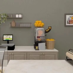 Elektrische Orangenpresse - Orange - Manuelle Zufuhr -Küchenbedarf Discounter OMZ max room 0115