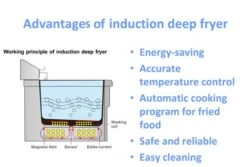 Induktions-Fritteuse - 8 Liter - 3,5 KW - Ablasshahn -Küchenbedarf Discounter neu advantage induction f0ff